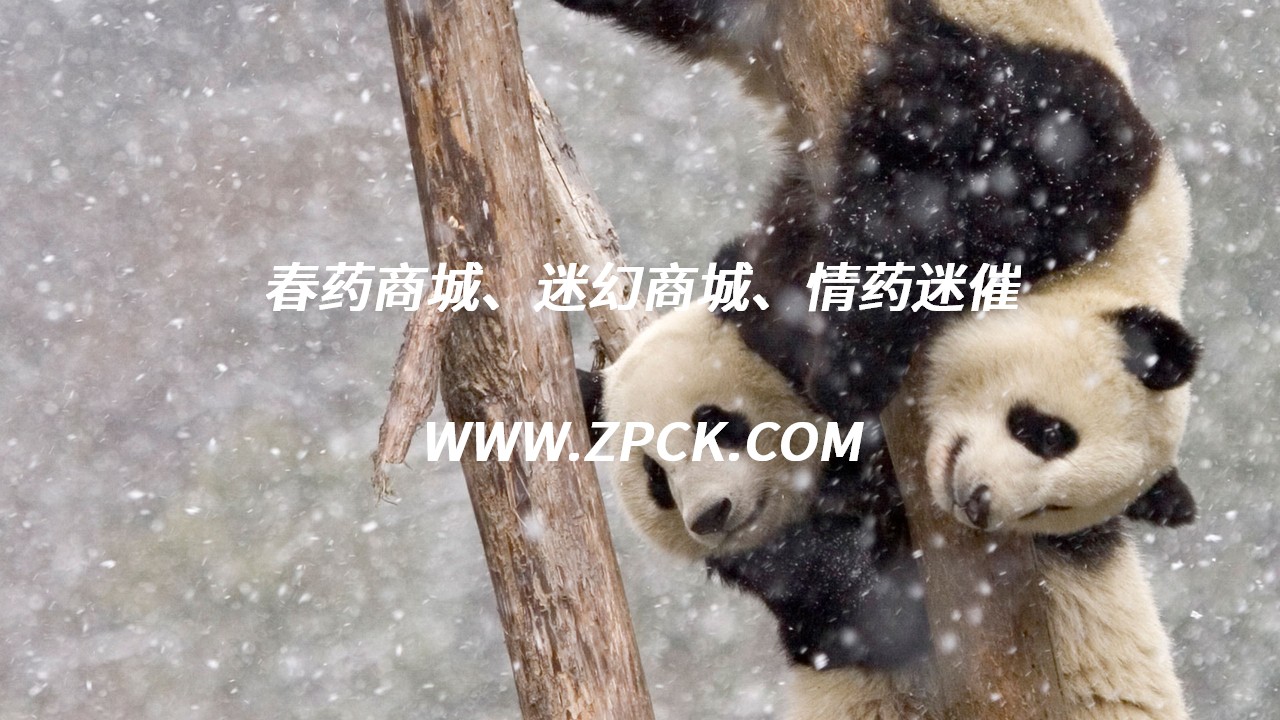 迷情剂怎么买