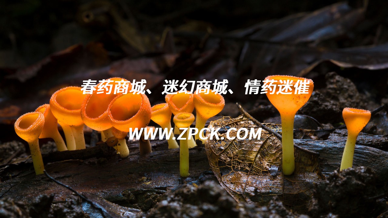 淘宝上催春叫什么