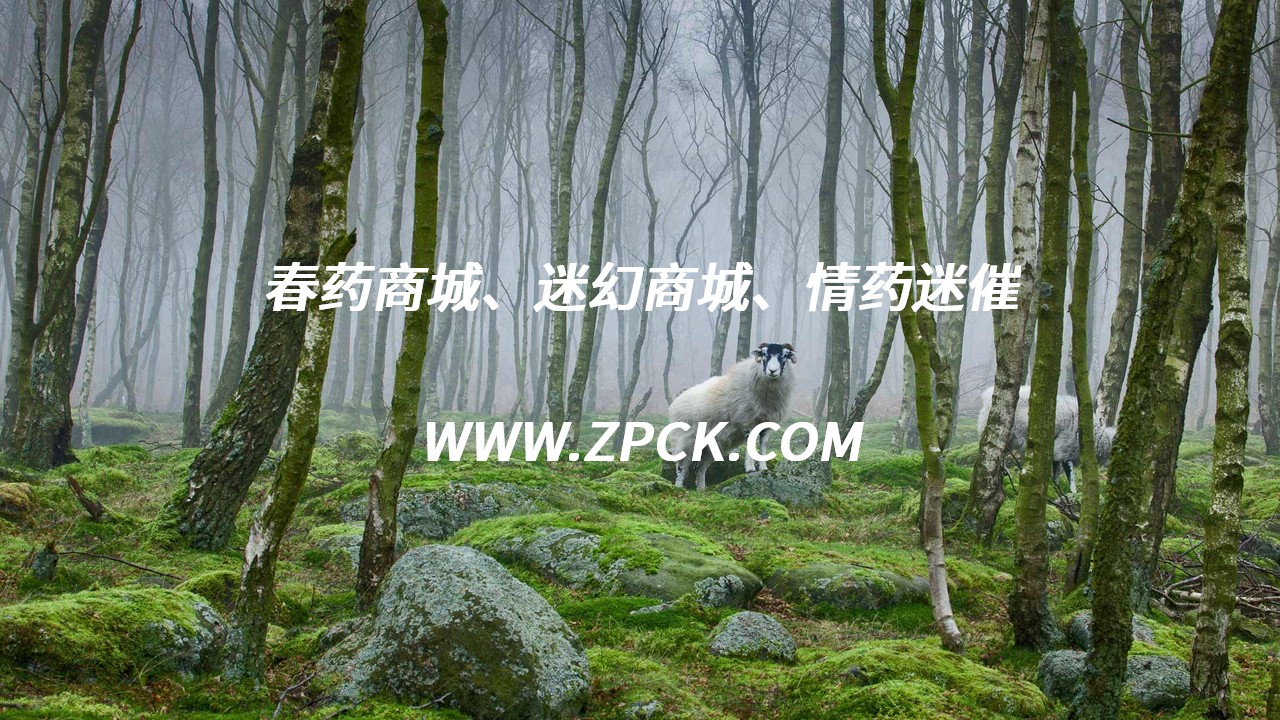 催迷水网购