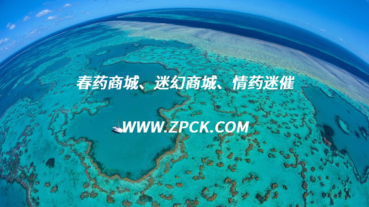 买性药在哪买比较好