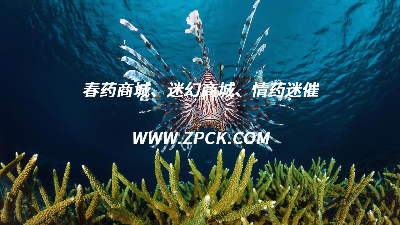 黑寡妇催情水怎么样