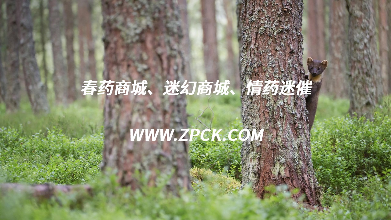 催情的药物