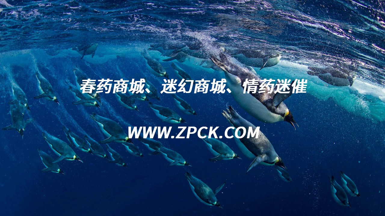 催情剂哪里有卖
