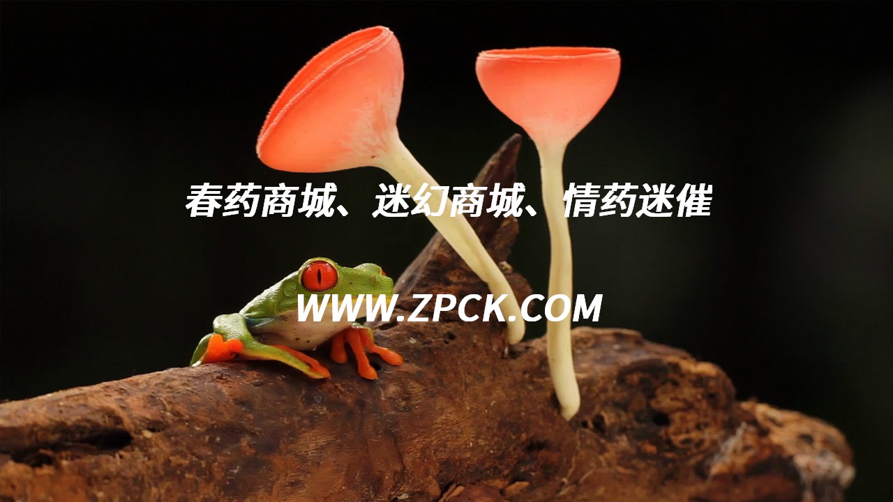 女用红蜘蛛怎么买