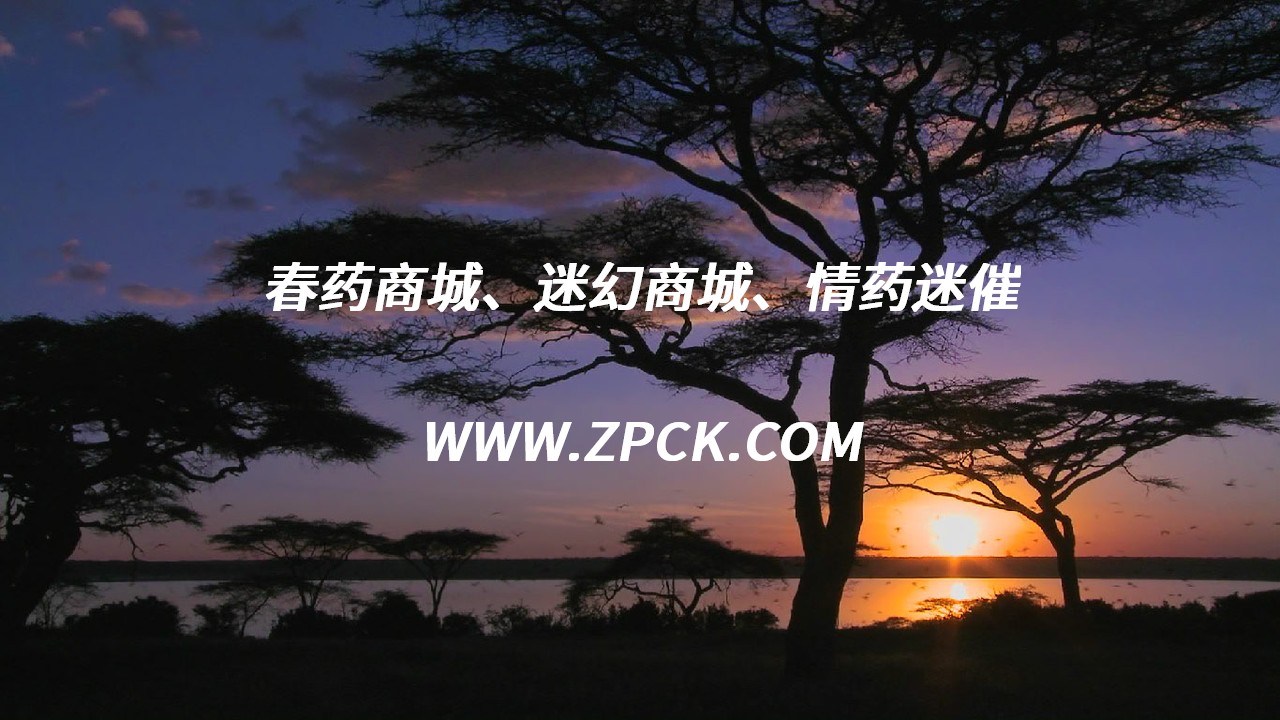 迷晕香水是什么