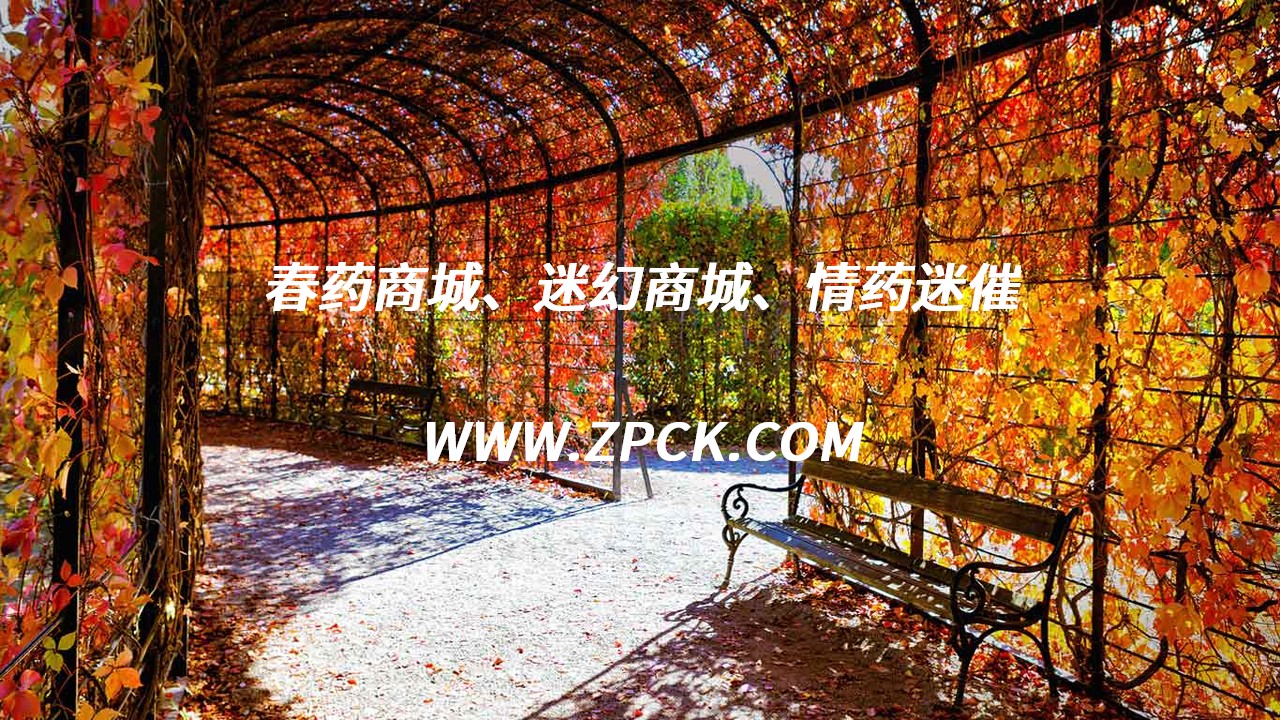 西班牙乌蝇谜魂喷雾多少钱一瓶