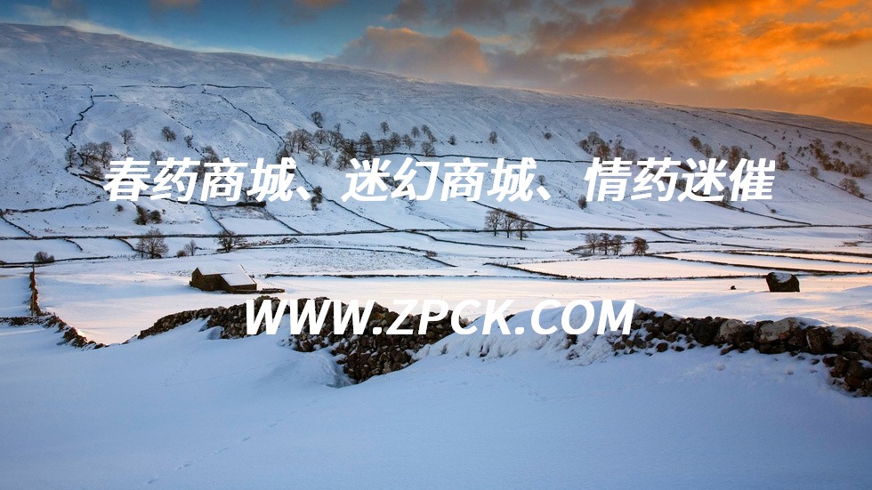 迷情剂调情药