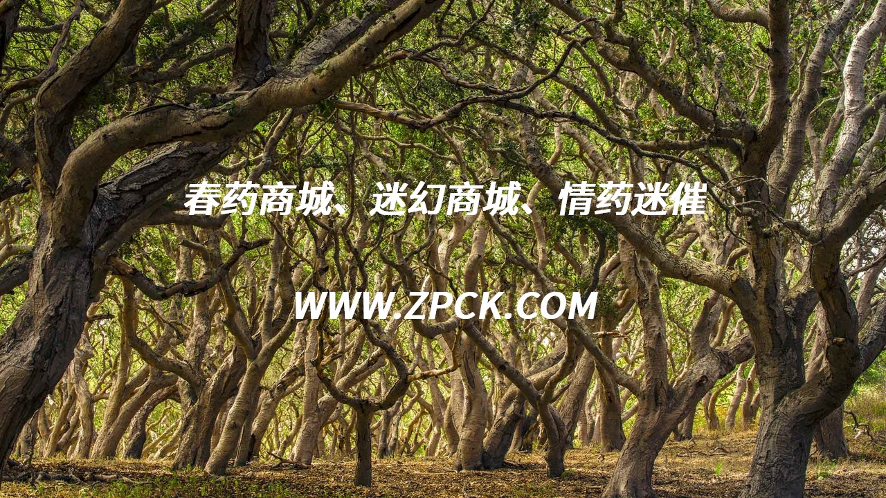 迷催口香糖原理