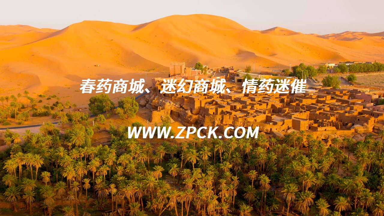 三挫轮在哪买