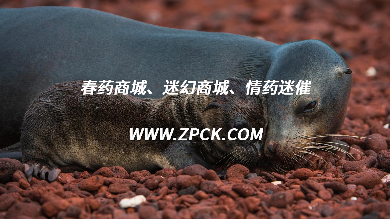 中药催情缩阴
