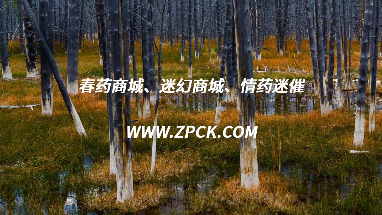 广州迷幻商城官网是真的吗