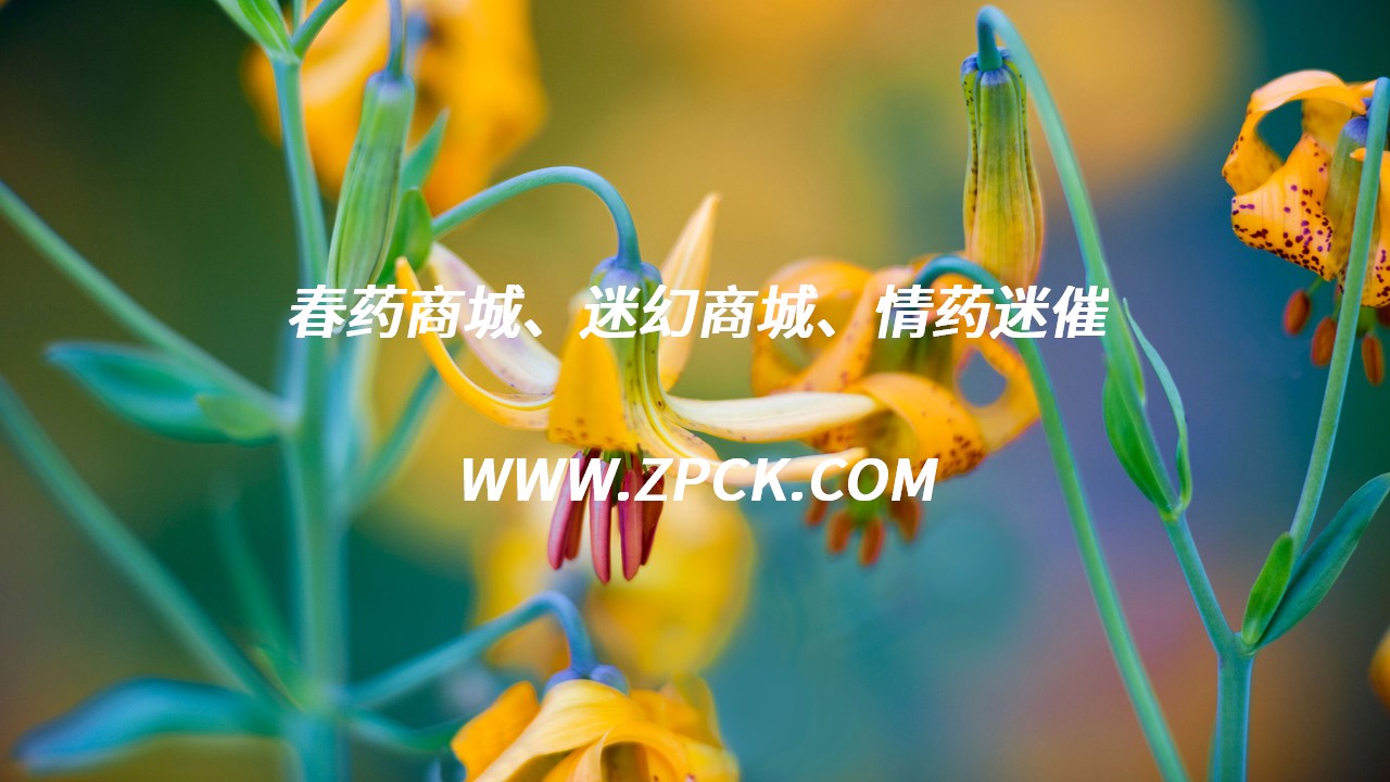 迷雾喷剂昏迷