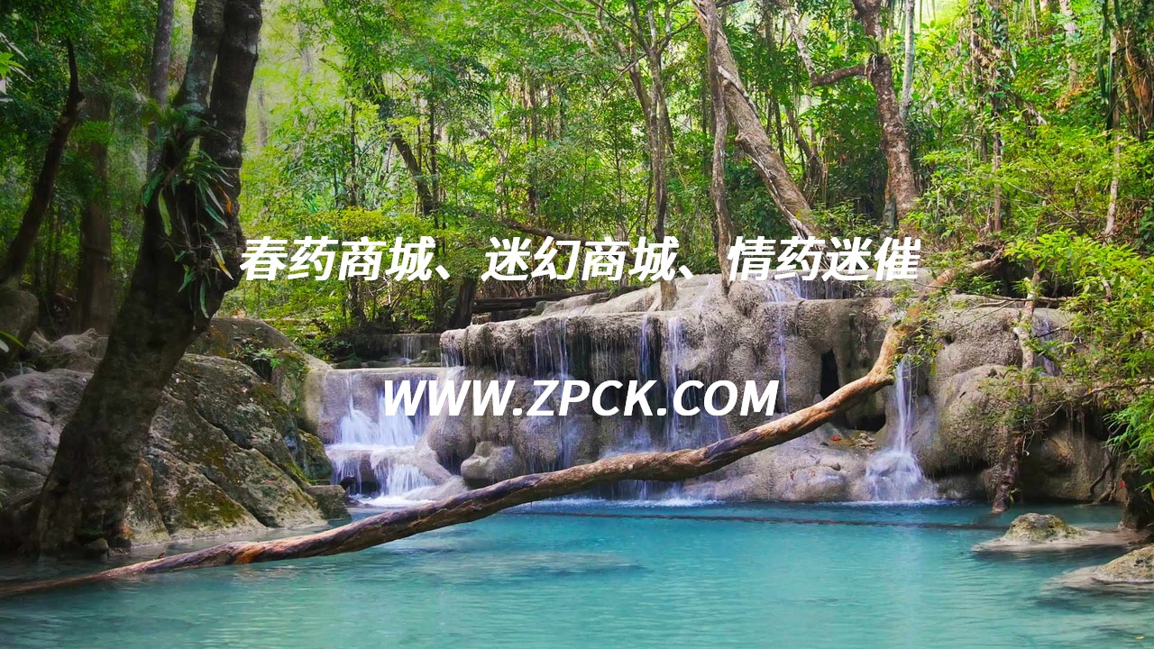 谜魂烟多少钱