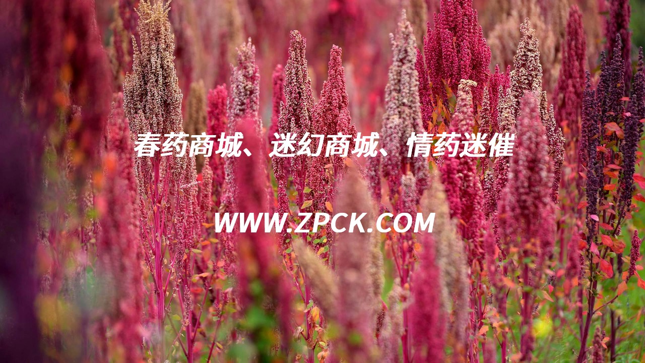 喷雾剂迷晕药图片价格