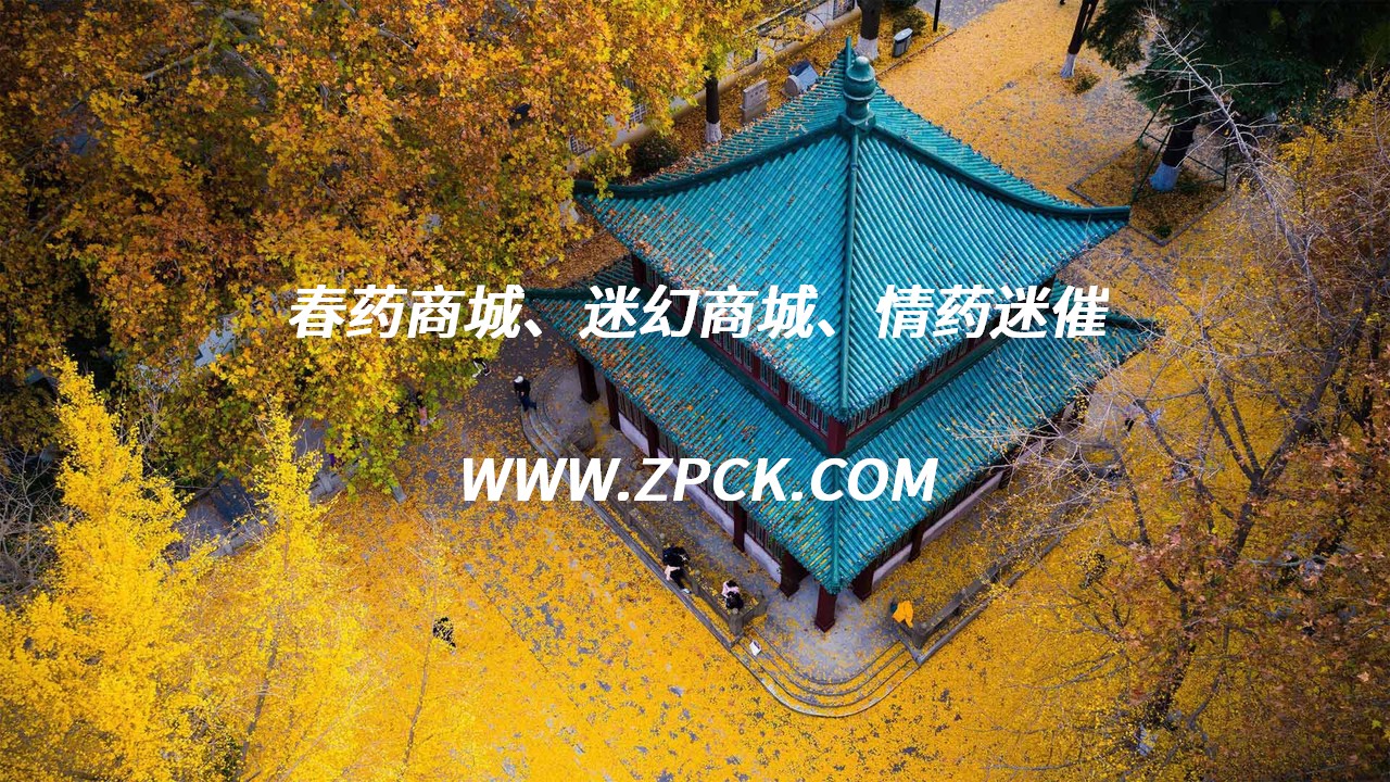 广州迷幻商城官网