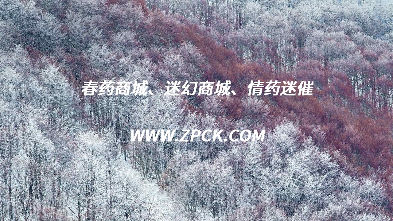 迷情剂订购网站