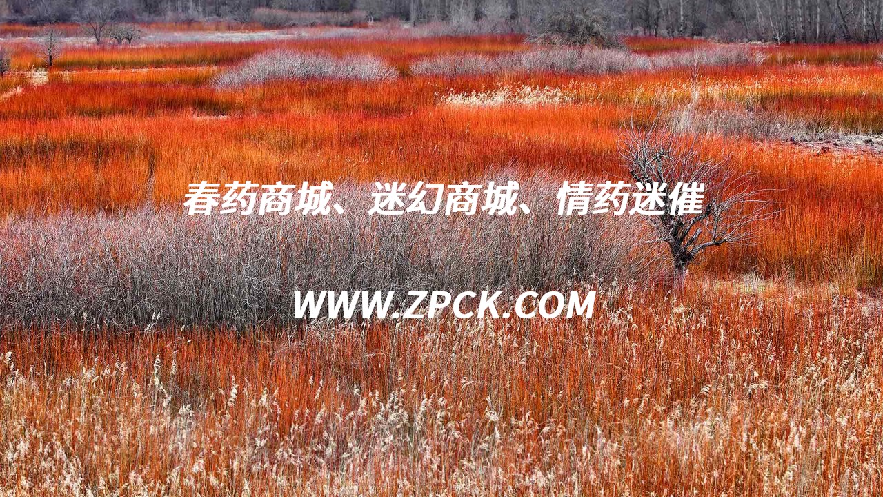 口服催请药