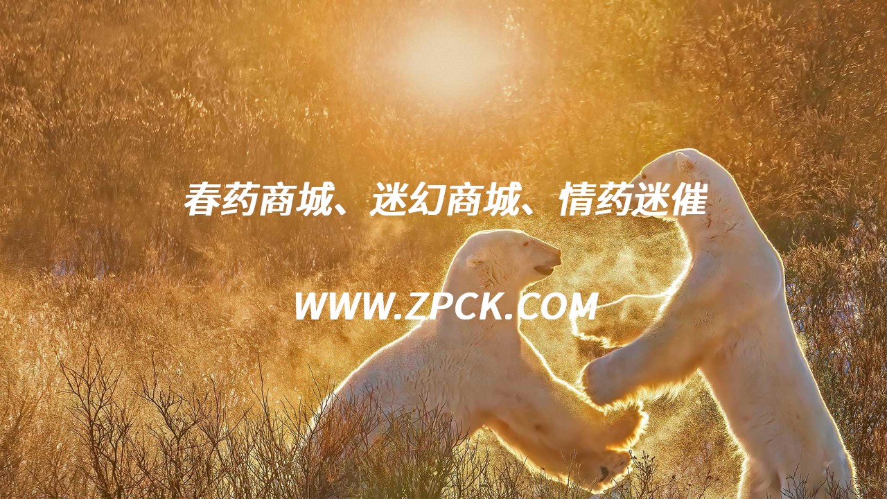 淘宝迷幻暗号