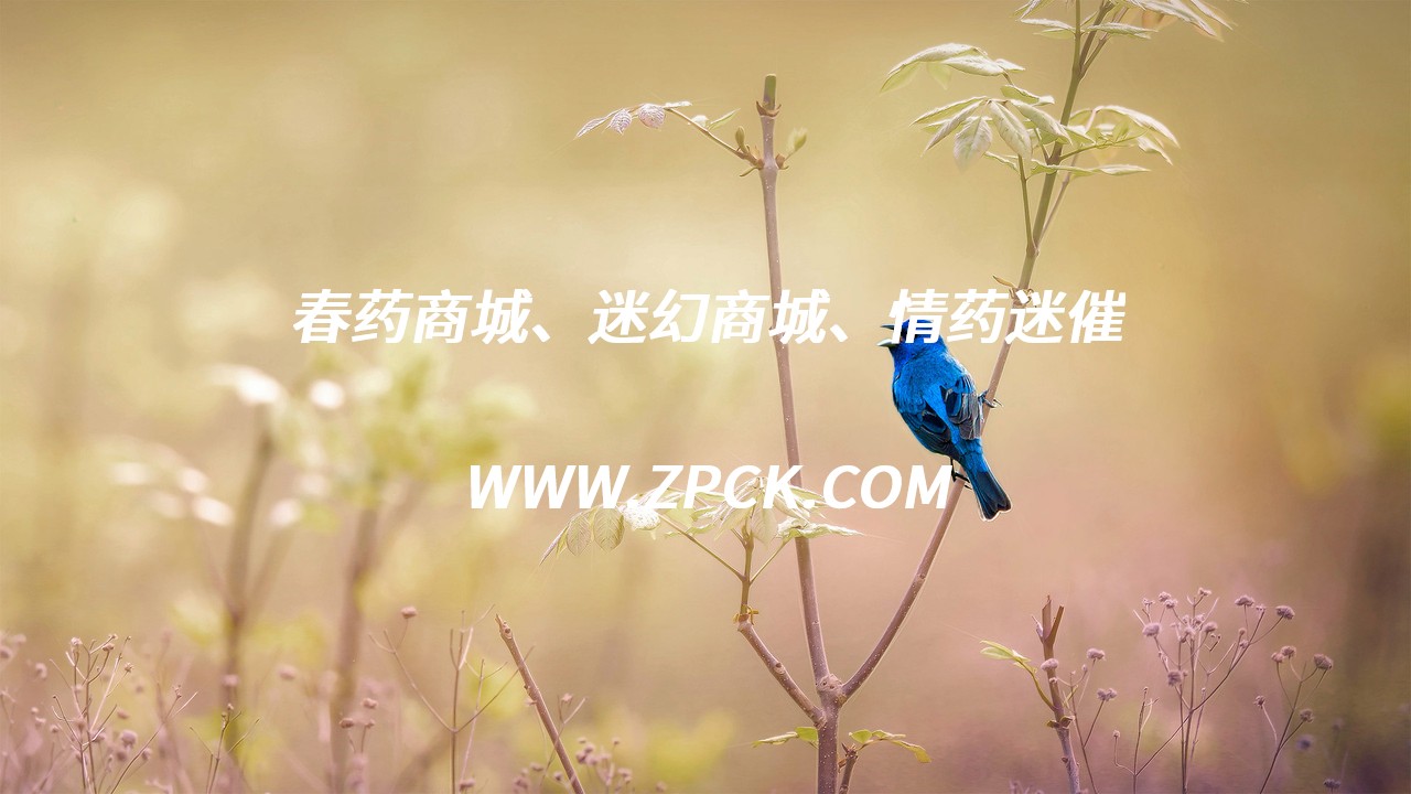 迷水药咨询