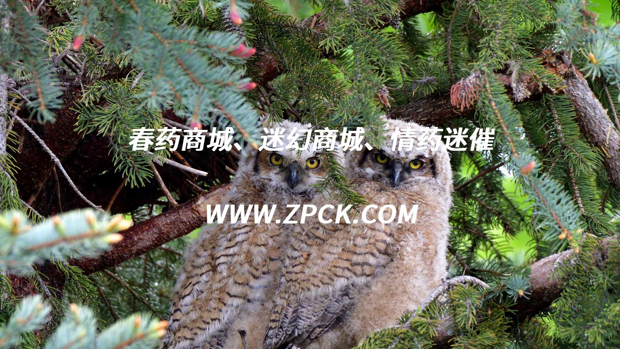 安眠药购买网上药店