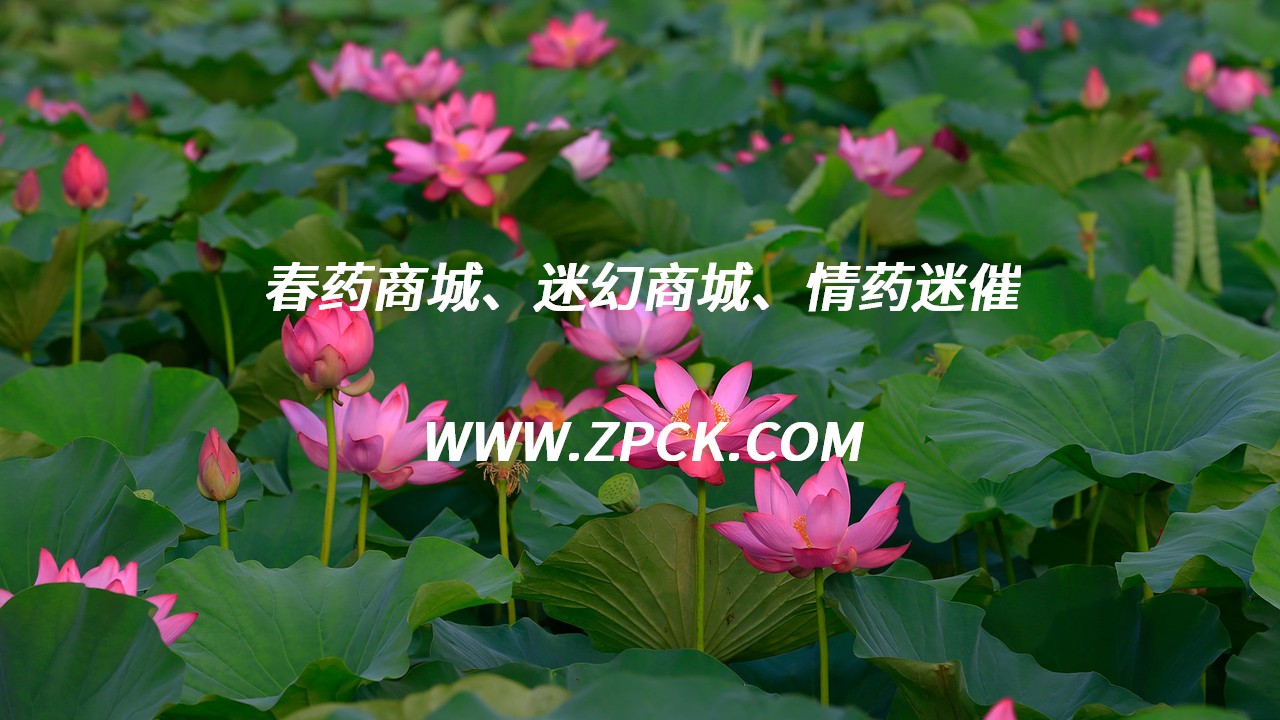 益达催春口香糖有效期几年