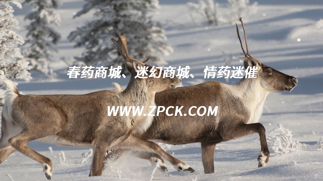 催情迷香配方百度