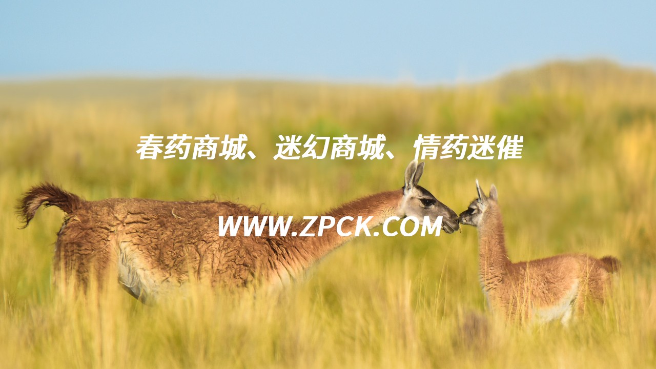 淘宝上迷情药叫什么名字