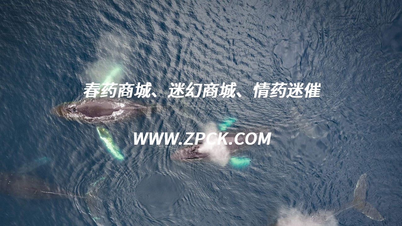 催情液的视频