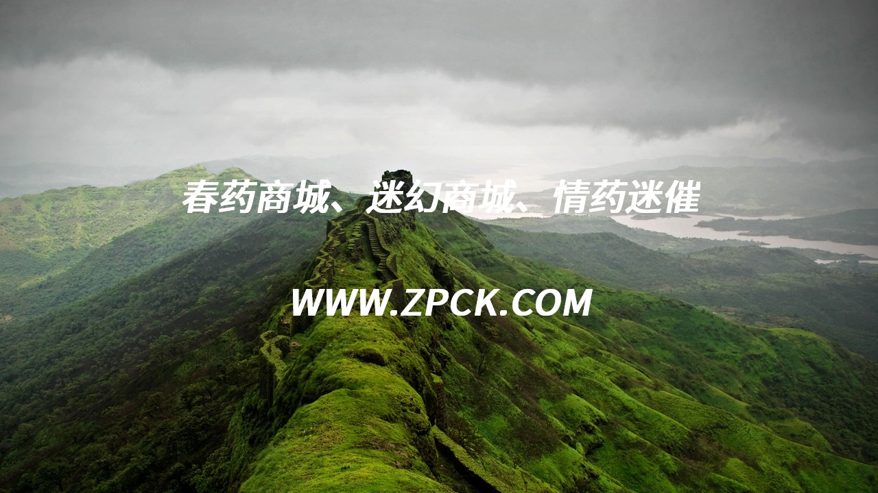 催迷水怎么联系