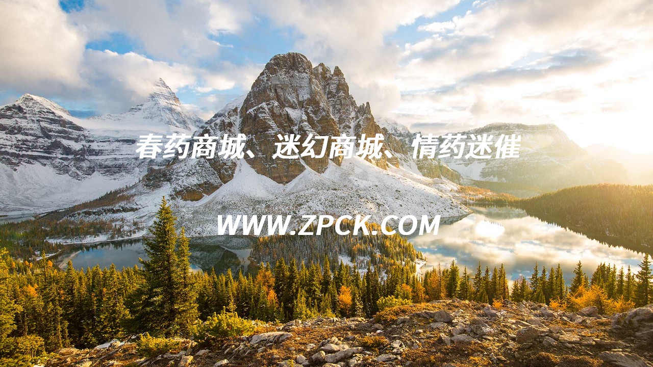 迷水正品：探索正品迷水之谜