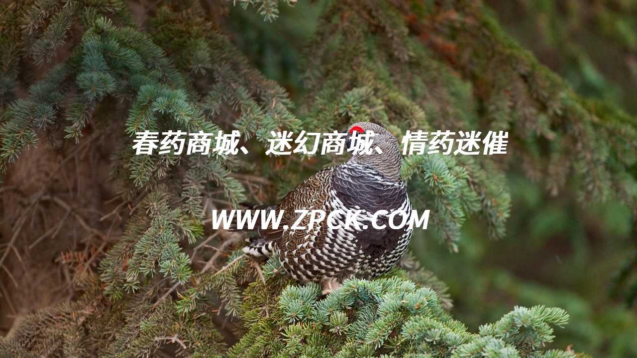 喷的什么会使人昏迷